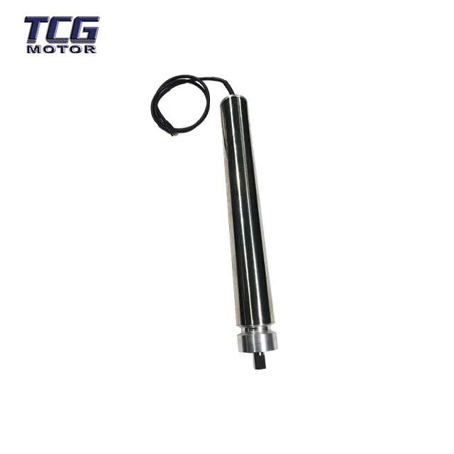 DC Series Conveyor Motor