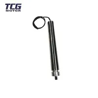 Motor transportador de la serie DC